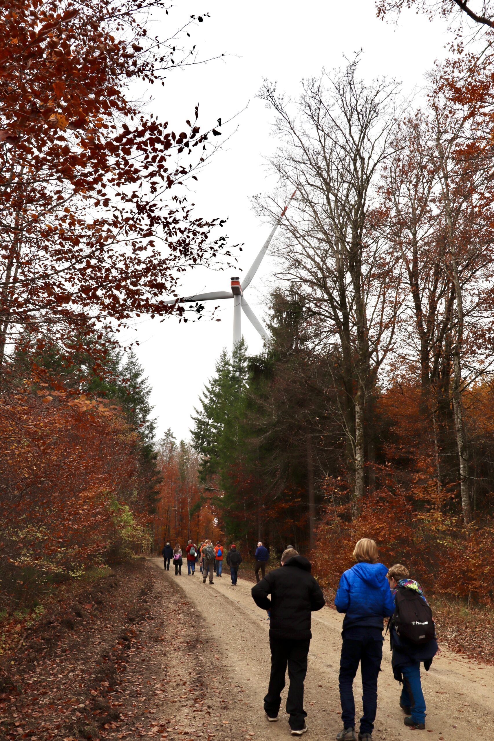 Ausflug zum Windpark Verenafohren begeistert – Anlagebau im Fokus